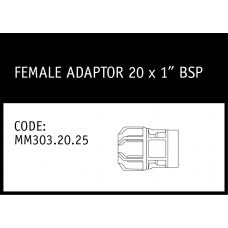 Marley Philmac Female Adaptor 20 x 1 BSP - MM303.20.25